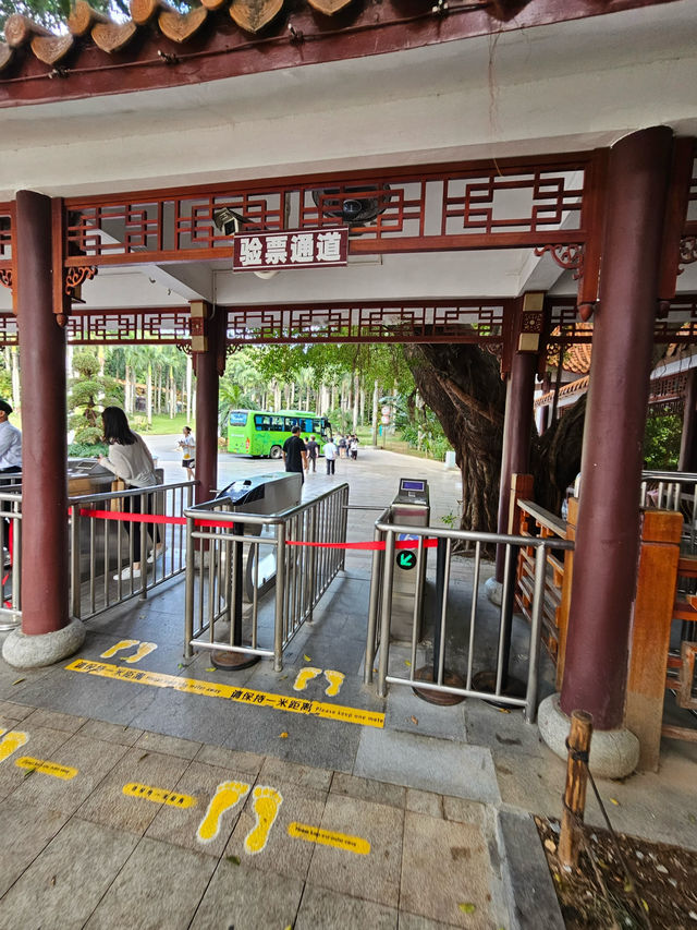 深圳l 沒想到這個仙湖植物園🌳那麼大