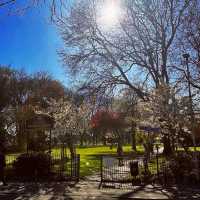 Whithworth park