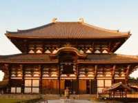 Summer Visit to Tōdai-ji Temple (東大寺) – A Majestic Encounter in Nara** 🏯🦌