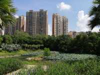 廣西貴港市旅遊景點推薦