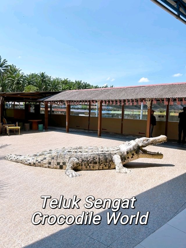Croc Spotting at Teluk Sengat Crocodile Farm