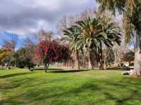Turia Gardens