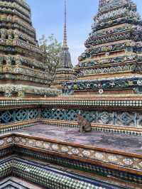 One day trip at Tha tien, Bangkok