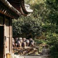 Hadong: A Slow Traveler’s Paradise – Tea Fields, Timeless Houses & Mountain Spirits"** 🍵🏯 