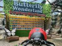 🦋【Butterfly Wonderland Genting】