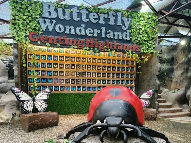 🦋【Butterfly Wonderland Genting】