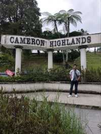 a huge flower nd strawberry highland #cameron
