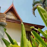 Clifftop Serenity and Thai Grace