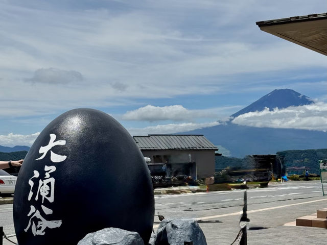 Hakone Highlights: Art, Onsen, and Scenic Views! Hakone Family Trip 👨‍👩‍👧‍👦