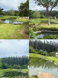 คาเฟ่ ฟิลยุโรป  BUCoLIC Khaoyai