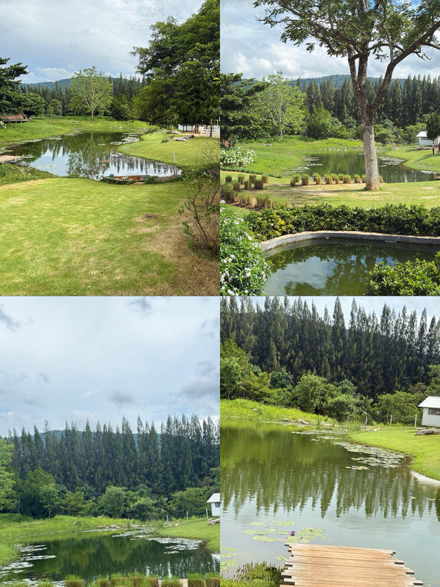 คาเฟ่ ฟิลยุโรป  BUCoLIC Khaoyai