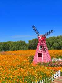 🌸Spring-Only Wonderland! Suzhou Shangfang Mountain National Forest Park Travel Guide