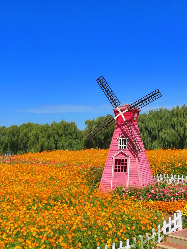 🌸Spring-Only Wonderland! Suzhou Shangfang Mountain National Forest Park Travel Guide