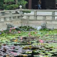 Chi Lin Nunnery & Nan Lian Garden (Diamond Hill)