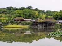 彥根 | 玄宮園，引琵琶湖水而成的日式庭園