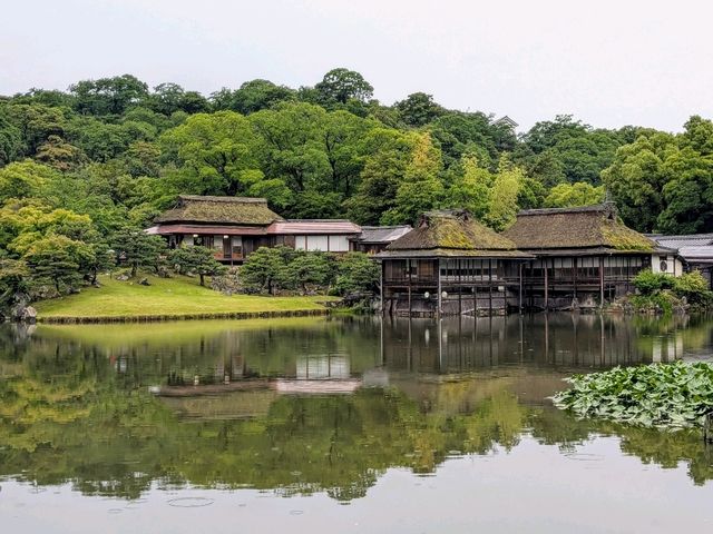 彥根 | 玄宮園，引琵琶湖水而成的日式庭園