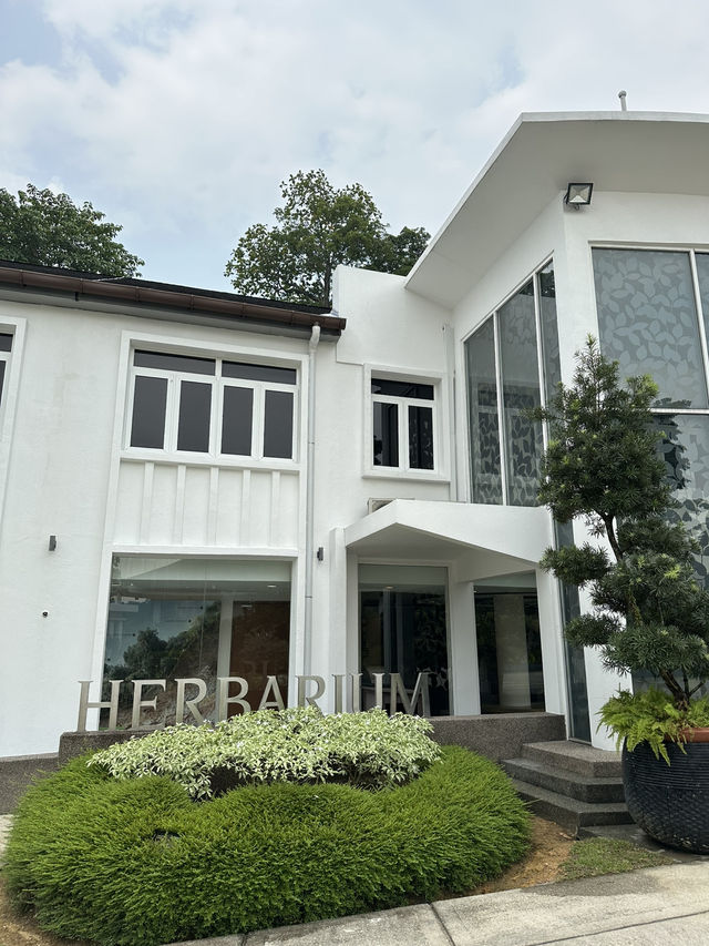 🌿Leaf Through Knowledge: Hidden Green Gem at Herbarium, Perdana Botanical Gardens