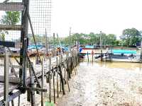 Mersing 4hrs short trip 