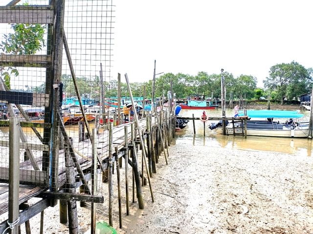 Mersing 4hrs short trip 