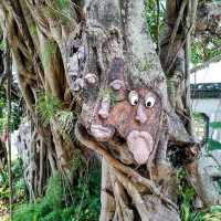 沖縄観光地🤍【福州園】