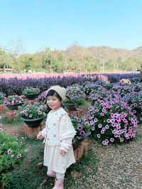 มาโคราช ห้ามพลาดอะไร !