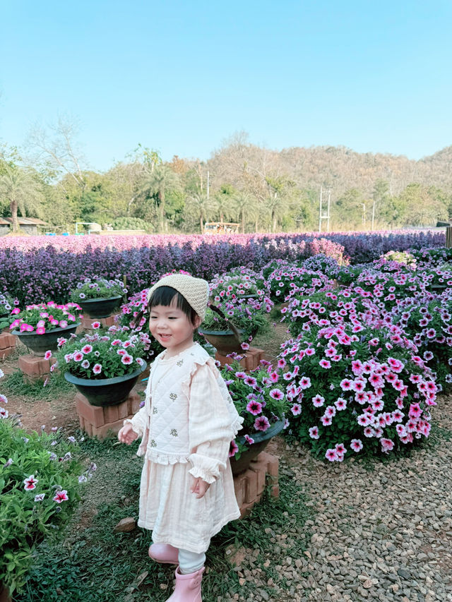 มาโคราช ห้ามพลาดอะไร !