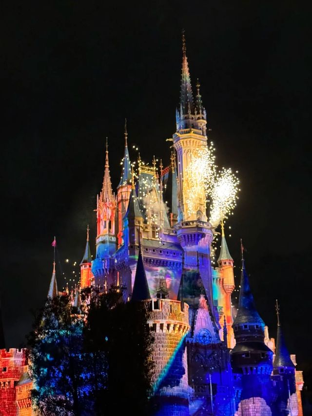 What Makes Tokyo Disney a Fan Favorite Worldwide