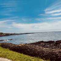 Basecamp for Exploring Seogwipo’s South Coast