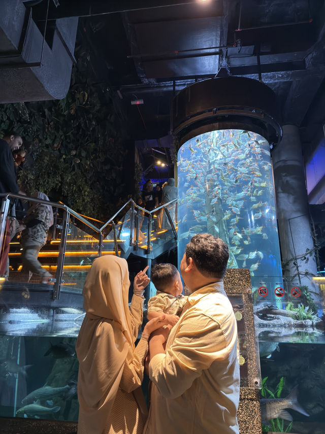 River to Reef Wonders at Aquaria KLCC