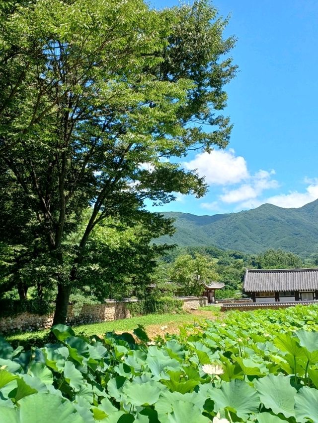 가족과 함께 걷는 소중한 시간 👨‍👩‍👧‍👦