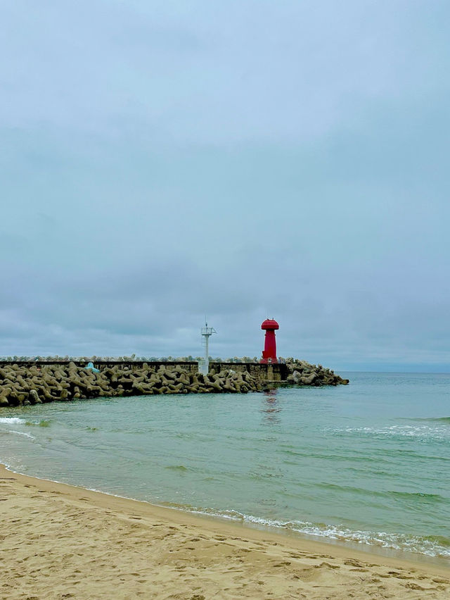 서핑하기 좋은 양양 기사문해변🏄🏻‍♀️