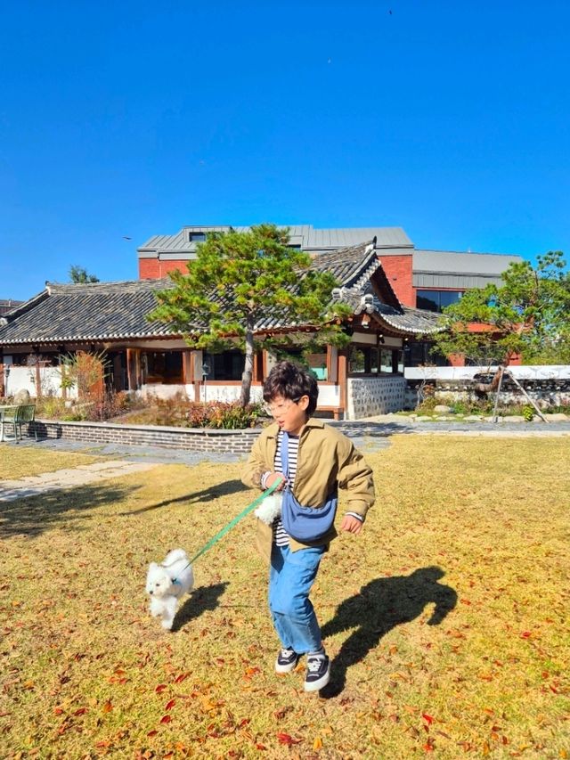 반려견과 함께 여유로운 시간🩷강릉 목과원카페