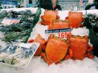 Seafood Feast by the Harbour: A Day at Sydney Fish Market