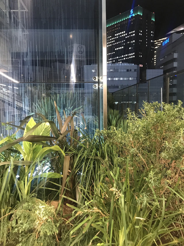 🍻🎬🧥【横浜NeWomanで大人の週末】クラフトビールで乾杯して、映画館でひととき。秋冬はモンクレールで決まり！