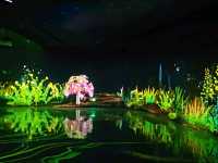 Enchanted forest light show at the Greenhouse