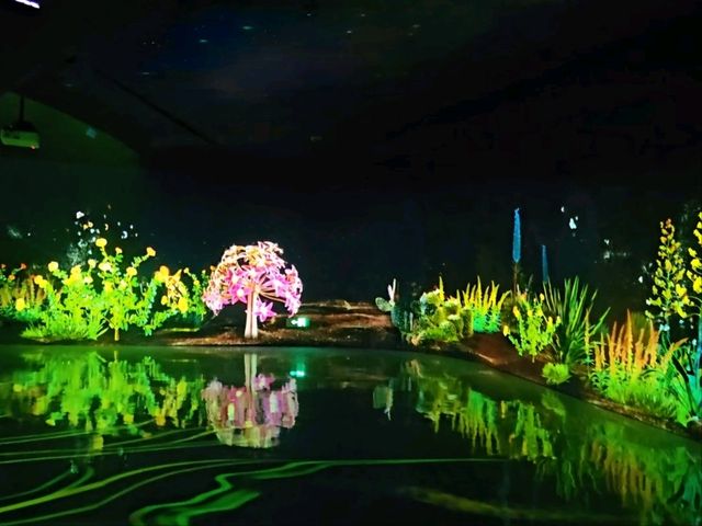 Enchanted forest light show at the Greenhouse