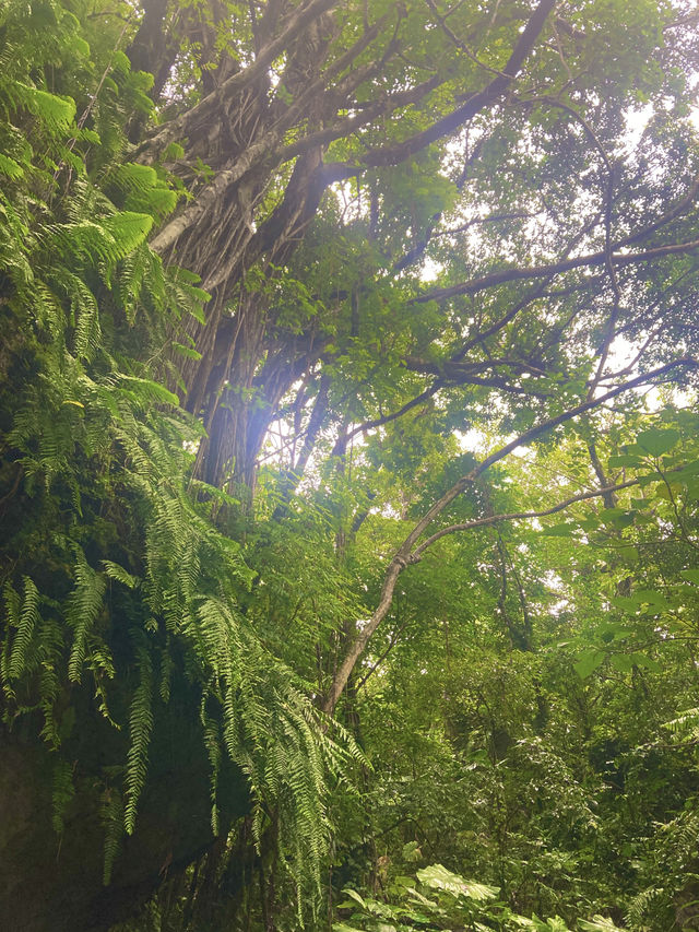 【斎場御嶽】沖縄が誇る世界文化遺産