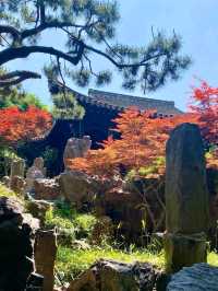 Ge Garden – Where Bamboo Whispers Meet Rockery Dreams