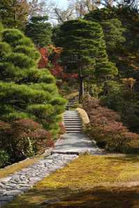 清幽之美—幾久公園