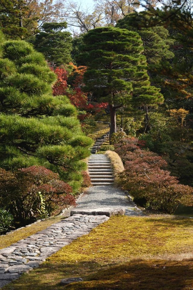 清幽之美—幾久公園
