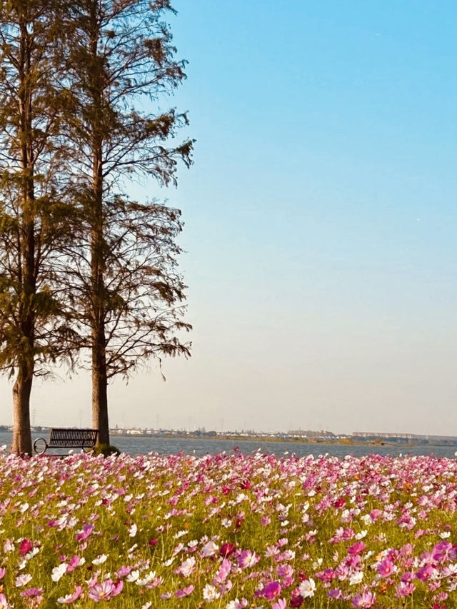 A Photographer's Dream of Serene Water and Sky