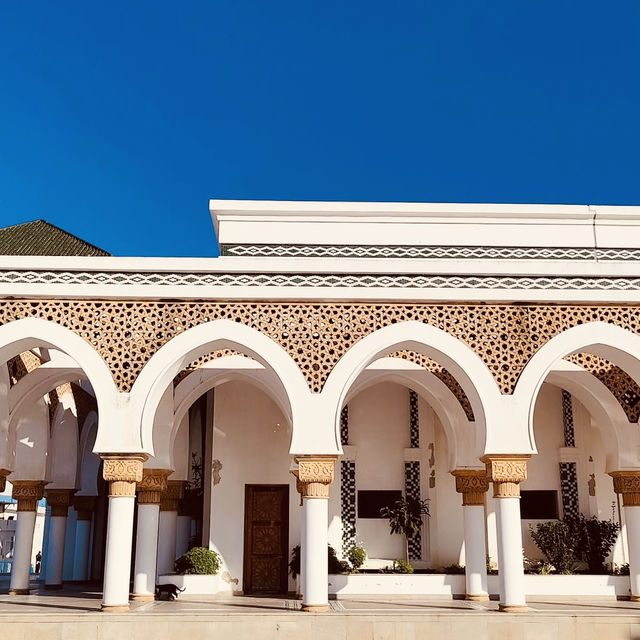 🏰🌊 Solo Time Traveler’s Outpost: Borj Dar el-Baroud – Tangier’s Forgotten Sentinel