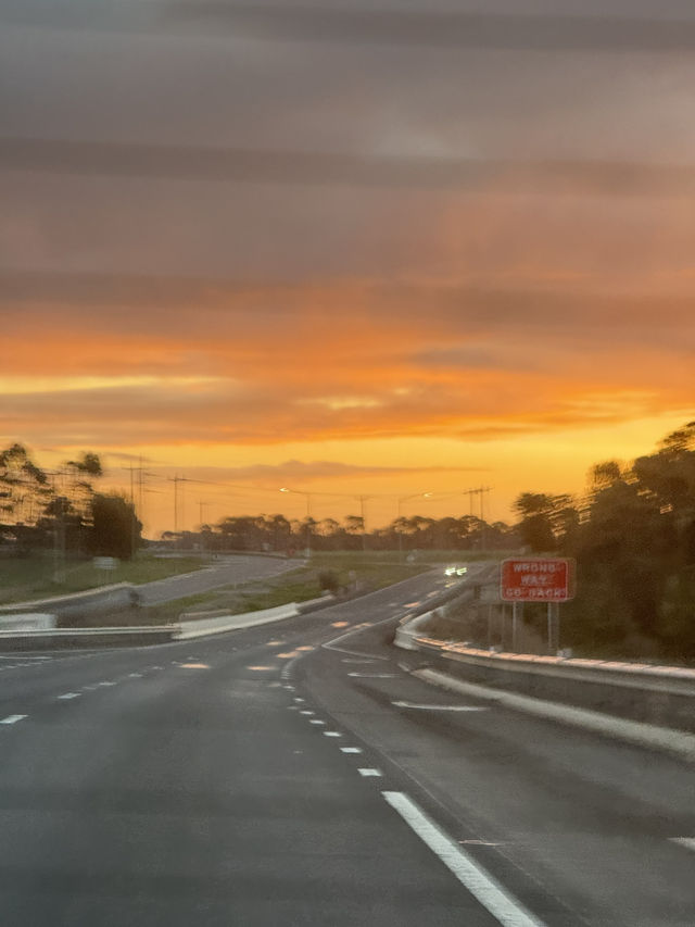 2D1N Great Ocean Road Adventure: Koalas, Coastal Views & Hidden Gems 🐨🌊