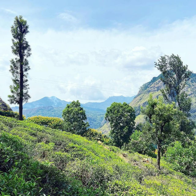 A Rewarding Hike to Little Adam’s Peak