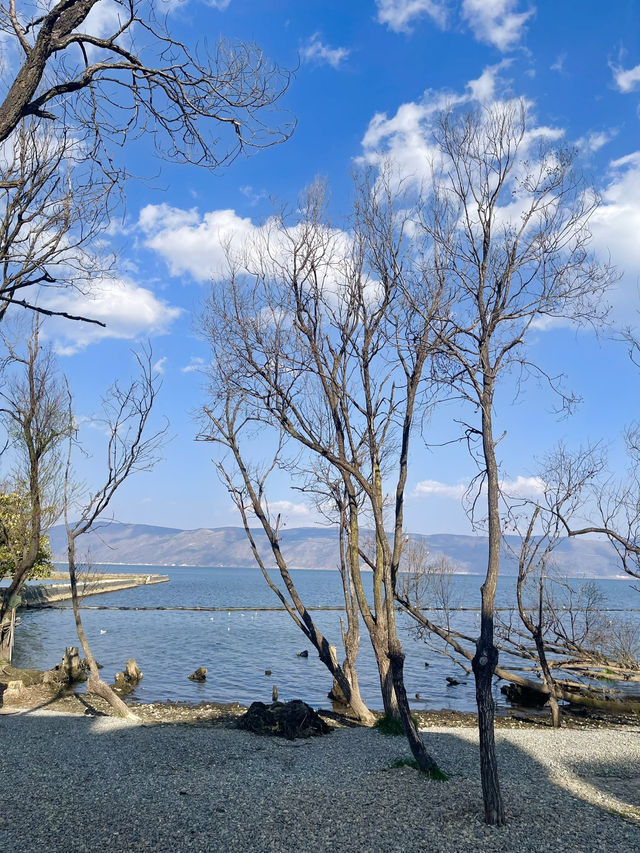 🇨🇳Dali ต้าหลี่ – เมืองโบราณริมทะเลสาบ Erhai Lake