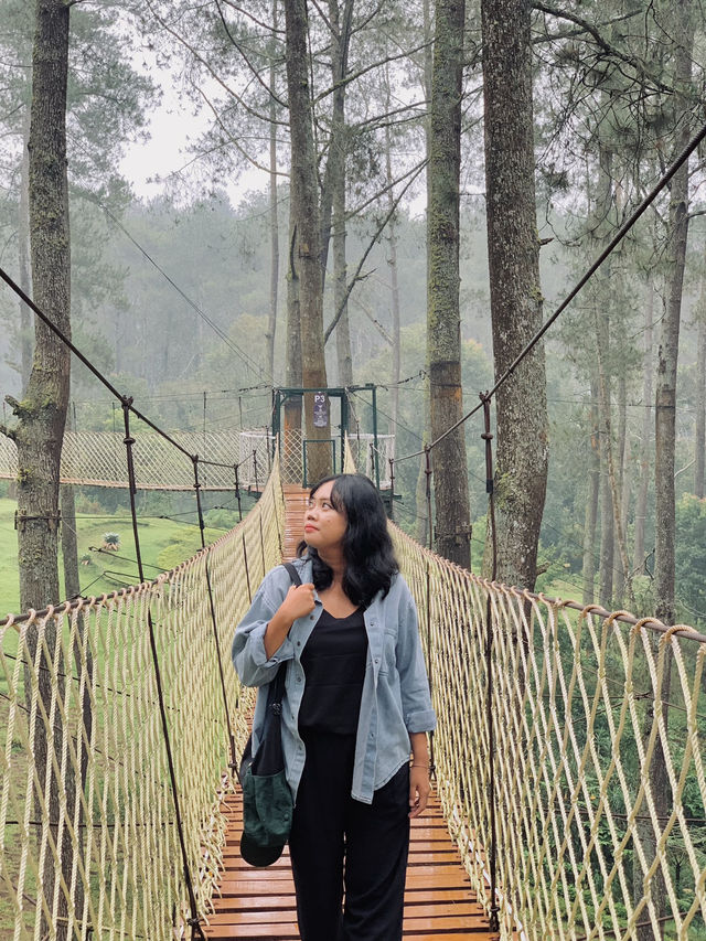 A Thrilling Sensation Crossing the Wood Bridge in Orchid Forest Cikole