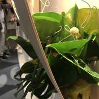 草月流華道展 at 表参道スパイラル — アーカイブと2025年の展望