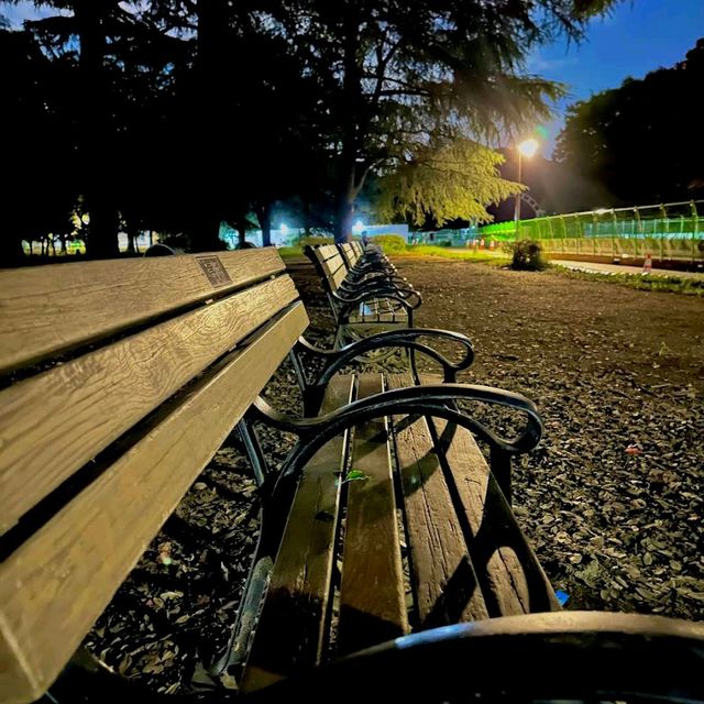 Yoyogi Park