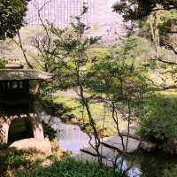 文京・関口 神田川沿いの桜を狙う — 撮影ポイント＆ランチガイド