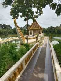 🌺ชวนเที่ยว วัดพระธาตุหนองบัว